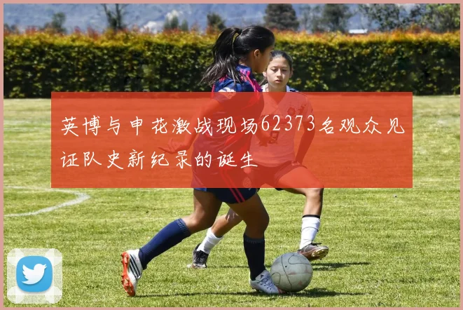 英博与申花激战现场62373名观众见证队史新纪录的诞生