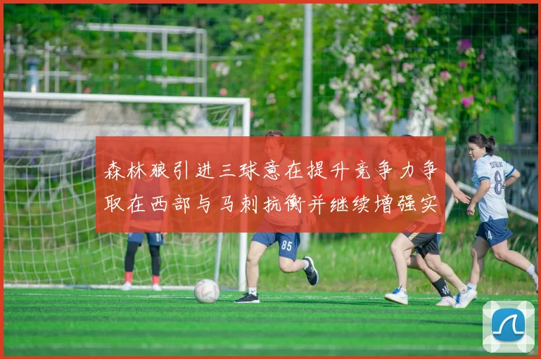 森林狼引进三球意在提升竞争力争取在西部与马刺抗衡并继续增强实力