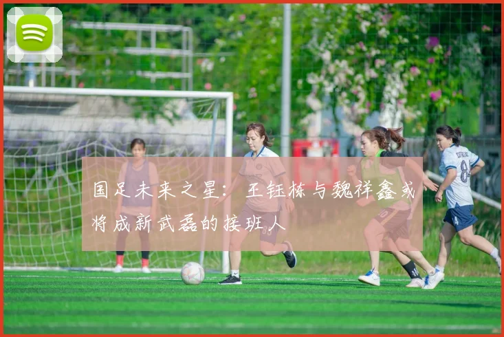 国足未来之星：王钰栋与魏祥鑫或将成新武磊的接班人